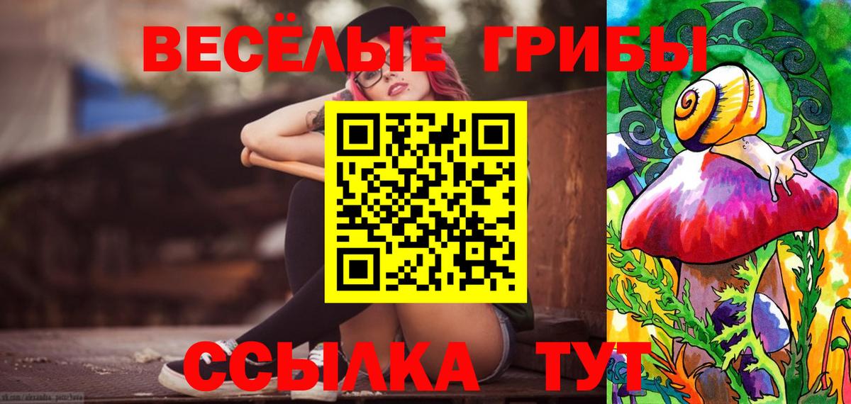 Псилоцибиновые грибы Psilocybine cubensis  Псилоцибиновые грибы GOLDEN TEACHER  Вход с VPN  Добрянка 